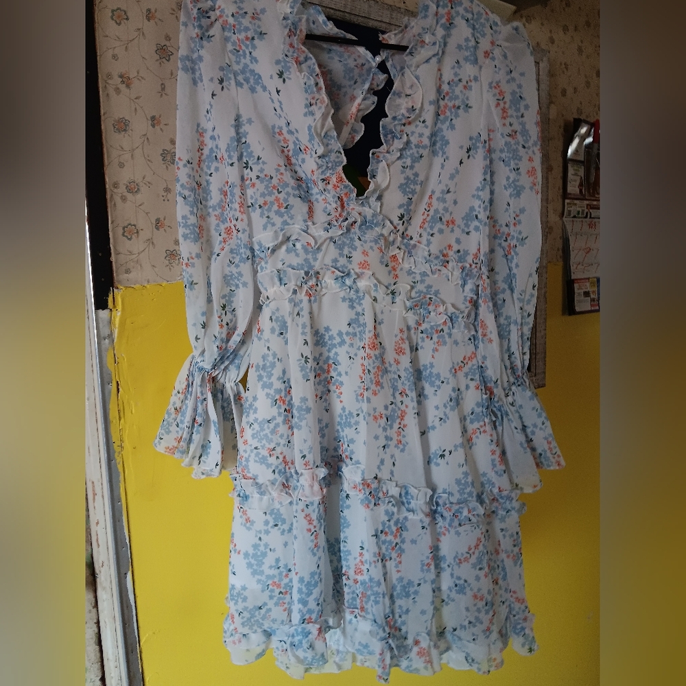 OC ORDER PLUS Floral Dress in Blue and White With Puff Sleeves. M/L